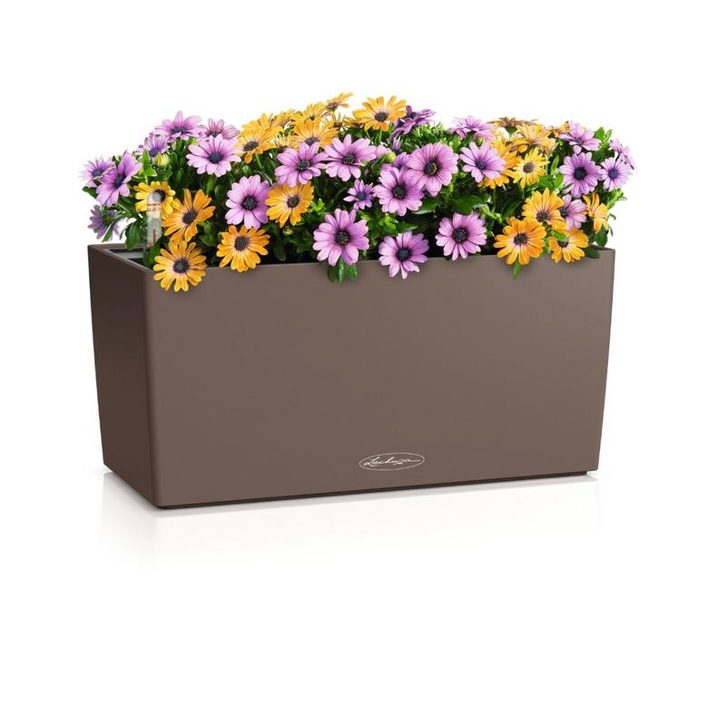 Lechuza BALCONERA Color 40 nutmeg